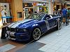 Mustangs-in-the-Mall-mustangs-mall-028.jpg