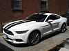 2015 stang hit or a miss-lauries-mustang-gt-001.jpg