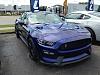 2016 Mustang GT 350R-img_3489_zpsljkrbhql.jpg