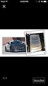 2019 gt500-photo4294967029.jpg