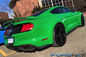 new green colour-1dd59a2c-7816-47f6-bf97-8ce4abfe588c.jpeg