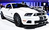 Raceskinz Steeda Ford Mustang GT at the 2010 LA Auto Show-steeda_raceskinz-3.jpg