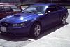 my stang --pics (Ithink)-musstangy.jpg