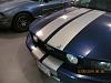 Dent King-img_1056.jpg