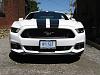 Canada Day-lauries-mustang-gt-014.jpg
