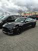2016 GT350 Sightings-048.jpg