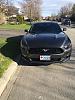 New 2016 V6 fast back-pony1_n.jpg