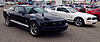 Shopping--2016 GT350-photo4294966420.jpg