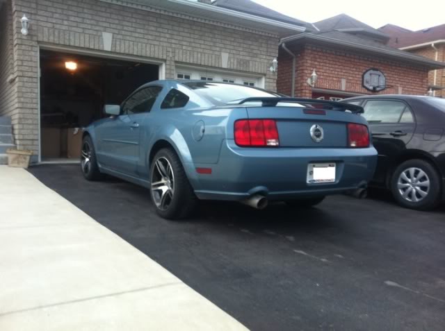 Name:  mustang11.jpg
Views: 31
Size:  39.3 KB