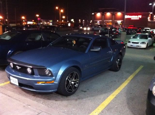 Name:  mustang4.jpg
Views: 29
Size:  59.7 KB