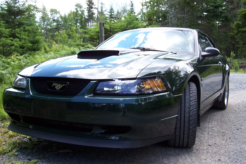 Name: bullitt013.jpg
Views: 12
Size: 144.1 KB