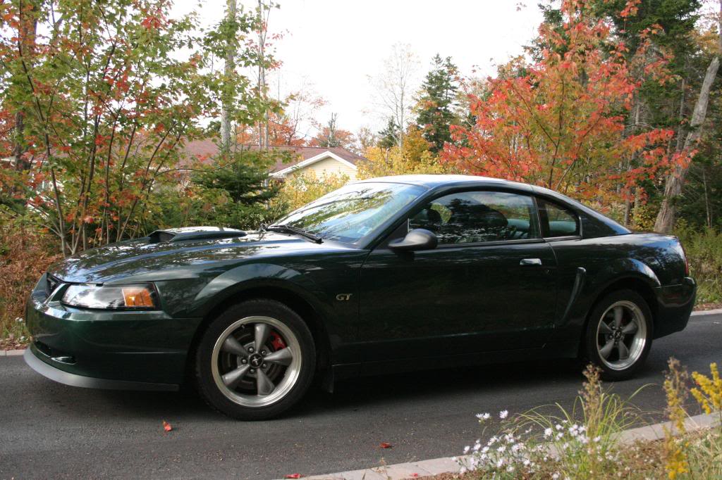 Name:  IMG_8338.jpg
Views: 14
Size:  149.3 KB