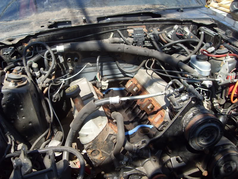 Name:  002.jpg
Views: 541
Size:  141.5 KB