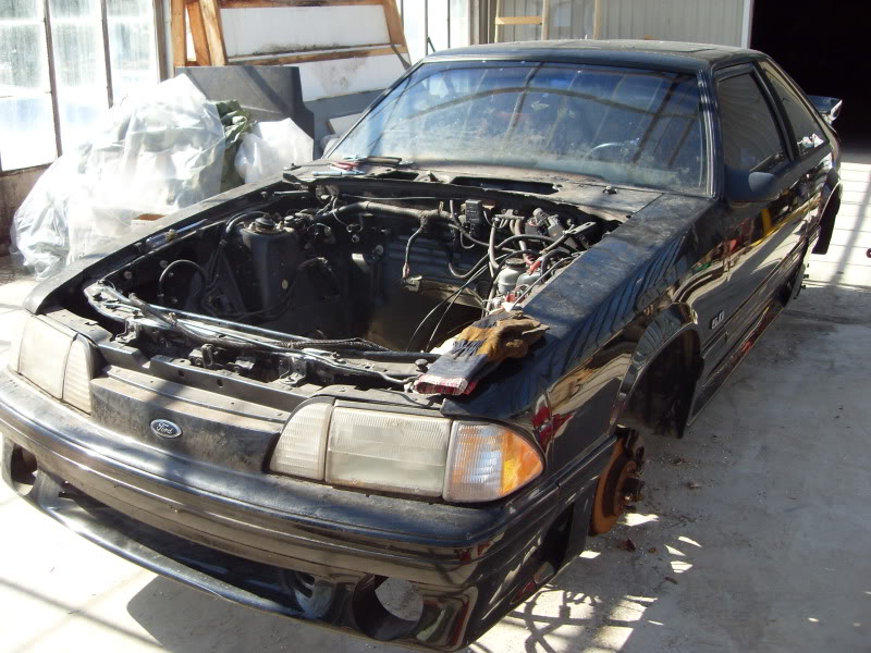 Name:  010.jpg
Views: 513
Size:  111.6 KB