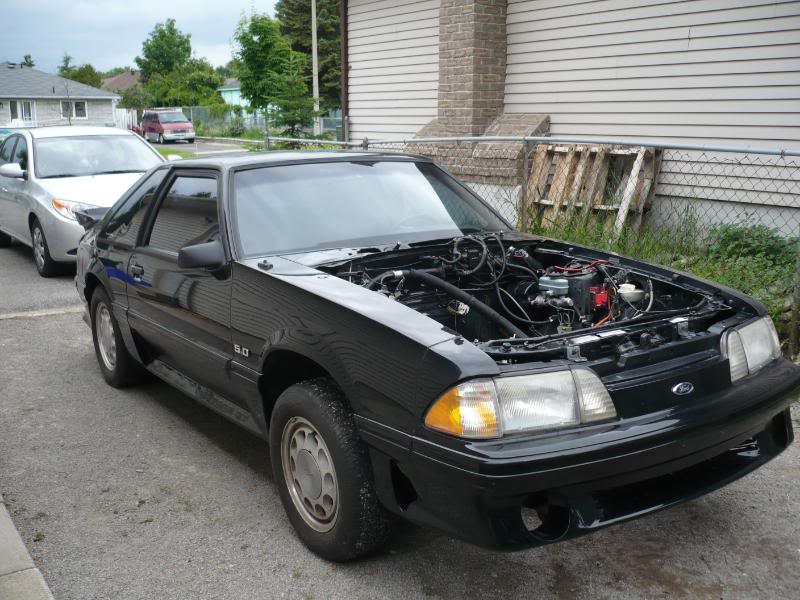 Name:  89GT.jpg
Views: 1284
Size:  88.4 KB