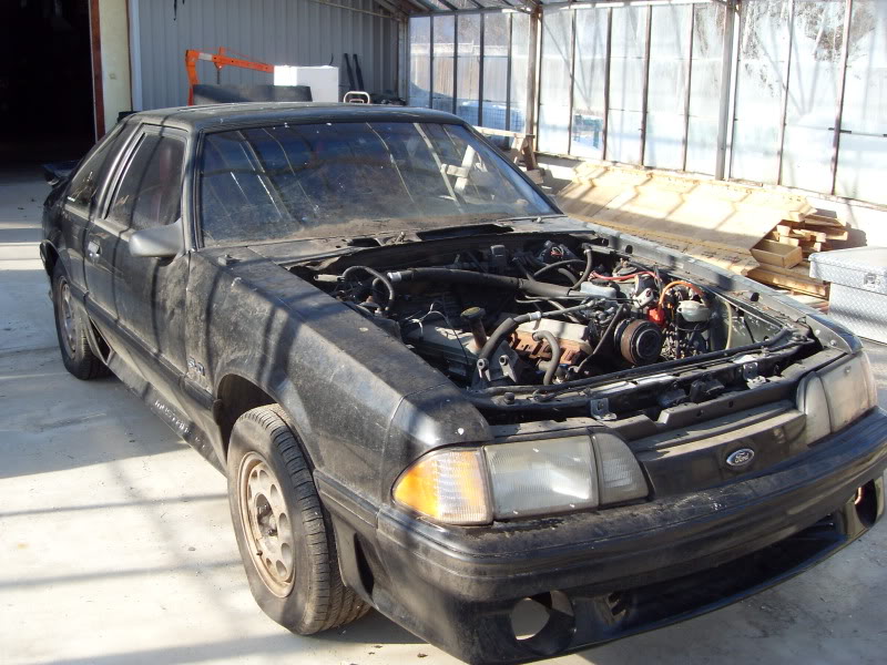 Name:  028.jpg
Views: 519
Size:  113.3 KB