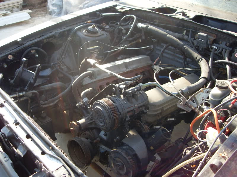 Name:  029.jpg
Views: 508
Size:  112.3 KB