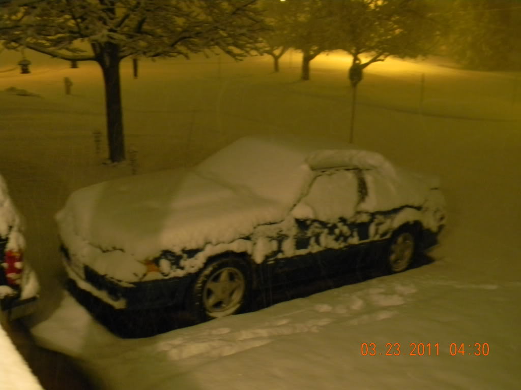 Name:  003-3.jpg
Views: 17
Size:  58.6 KB