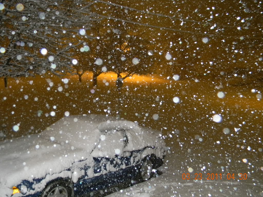 Name:  005-5.jpg
Views: 17
Size:  235.0 KB