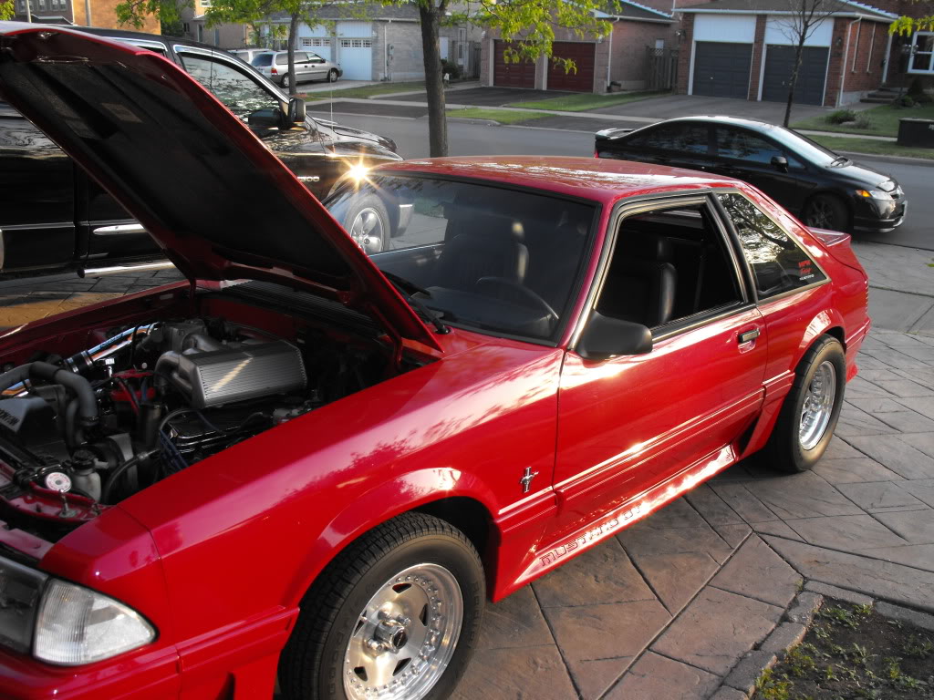 Name: DSCF7124.jpg
Views: 39
Size: 170.8 KB