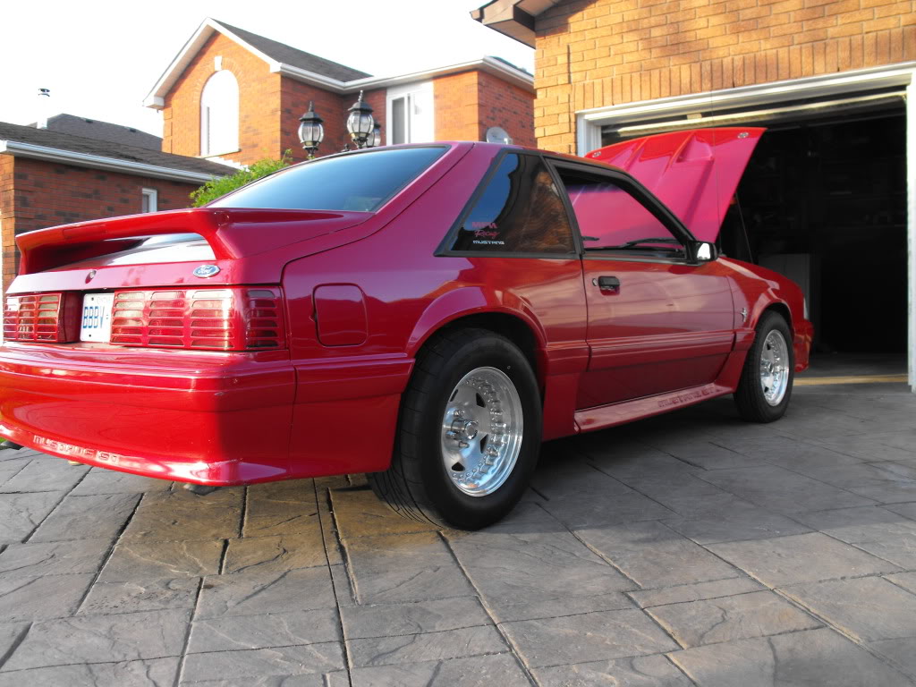 Name: DSCF7119.jpg
Views: 38
Size: 146.6 KB