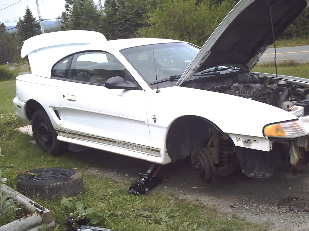 Name:  PICT0007.jpg
Views: 163
Size:  131.6 KB