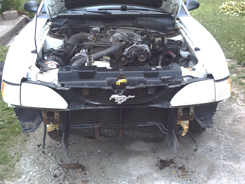 Name:  PICT0004.jpg
Views: 169
Size:  157.6 KB