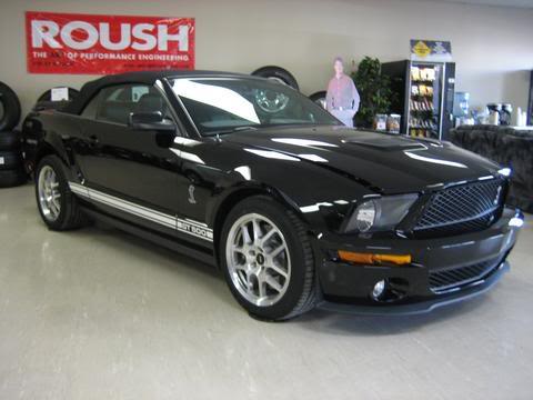 Name:  shelby.jpg
Views: 23
Size:  27.4 KB