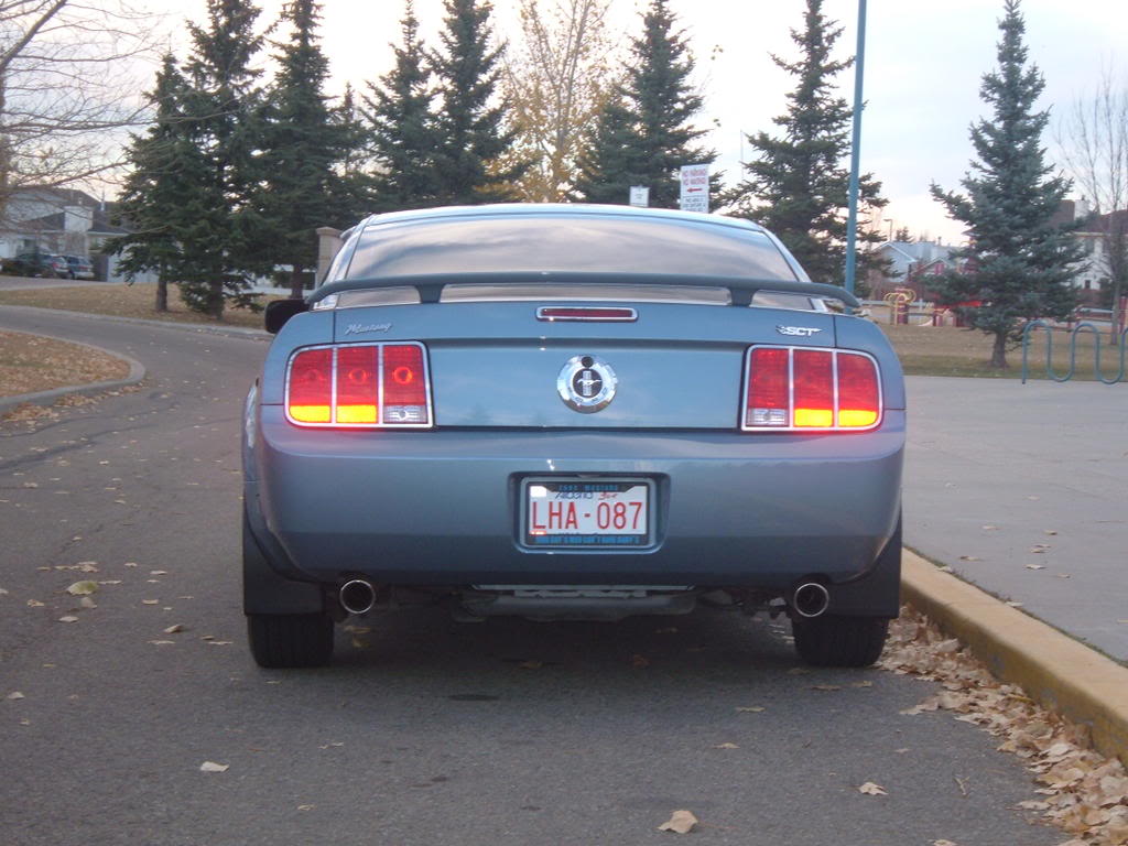 Name:  DSCF0051.jpg
Views: 65
Size:  115.1 KB