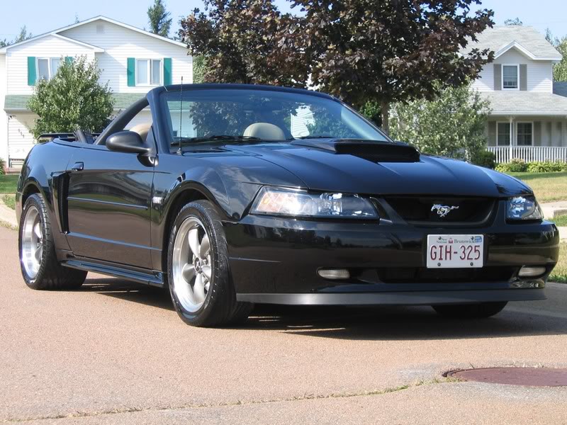 Name:  Aug2007032editcrop.jpg
Views: 67
Size:  121.3 KB