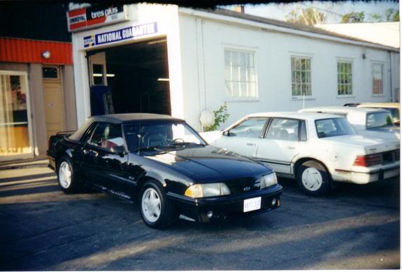 Name:  firstday.jpg
Views: 32
Size:  33.9 KB