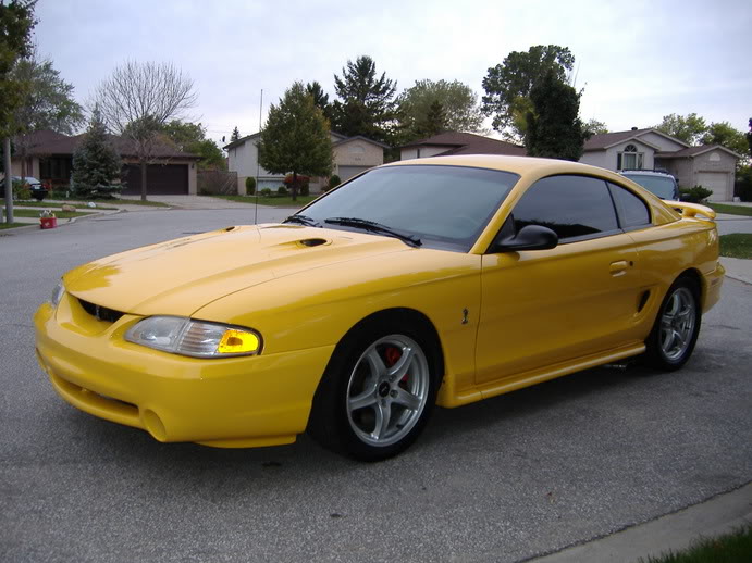 Name:  cobra3.jpg
Views: 21
Size:  76.3 KB