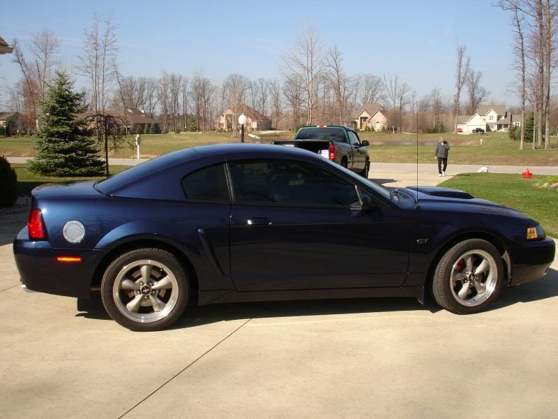 Name: 31fd_20.jpg
Views: 20
Size: 65.0 KB