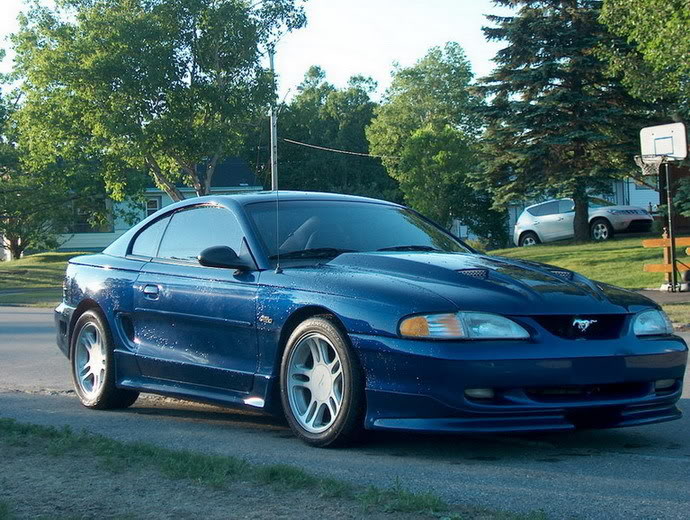 Name:  Mustang05003.jpg
Views: 4250
Size:  115.8 KB