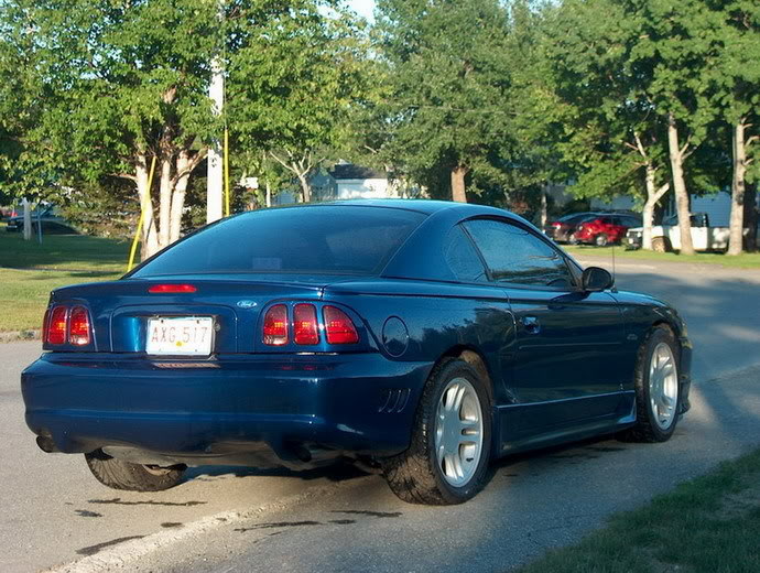 Name:  Mustang05002.jpg
Views: 1497
Size:  111.7 KB