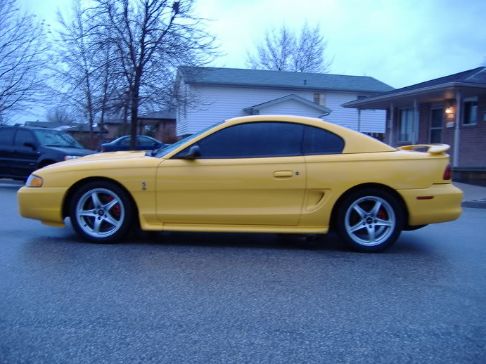 Name:  4f20dff0.jpg
Views: 1783
Size:  79.2 KB