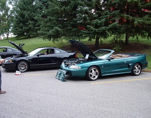 Name:  cobrapics2.jpg
Views: 64
Size:  106.3 KB