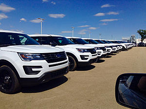 RCMP SSP Mustangs-photo857.jpg