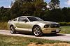 Favorite Mustang, Post a pic!-03610022.jpg