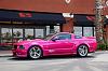 VAEM's SN95 264ci 4.3L V6 Mustang Build-molly_saleen_mustang_1.jpg