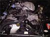 VAEM's SN95 264ci 4.3L V6 Mustang Build-clean-engine-001.jpg