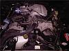 VAEM's SN95 264ci 4.3L V6 Mustang Build-clean-engine-002.jpg