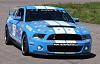 Racing 4 Autism-802-halleran__jpg_500x500_q85.jpg