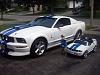 2006 Shelby GT350??-shelby.jpg