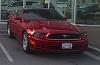 2013 Mustang GT-p6050089a.jpg