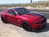 Super Snake (New to the site)-ssgt500.jpg