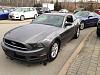 New Mustang V6 owners Mr.&amp;Ms. in Mississauga, ON-kloxxe-7110-albums-mr-ms-new-v6s-341-picture-img-0196-2-1765.jpg