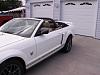 New Mustang Owner-pict0287a.jpg