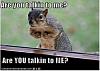 New member-you-talikng-me-funny-squirrel-meme.jpg