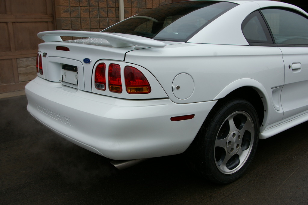 Name:  IMGP2677.jpg
Views: 97
Size:  190.4 KB